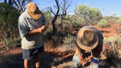 And where there's potch,
precious opal is often close by. - Outback Opal Hunters