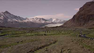 And these are skills we can
apply to mammoth tasks like
solving climate change. - Shackleton: The Greatest Story of Survival