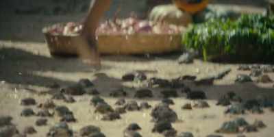 And these frogs are multiplying. - Testament: The Story of Moses