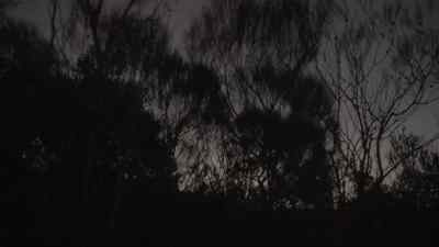 And that they had bashed up at
that beat where Scott had died. - Never Let Him Go