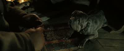 And they did this to you? - Harry Potter and the Order of the Phoenix