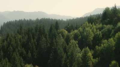 And as they do,
they create higher, cooler landscapes - Prehistoric Planet