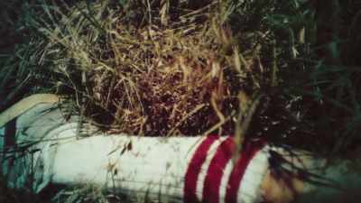 And so they dragged him
out of there - 35 Serial Killers the World Wants to Forget