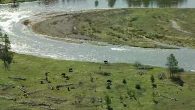 And as they flood - Yellowstone: One-Fifty