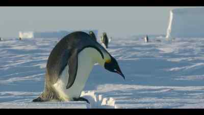 And while they may not know why,
they're right to be concerned. - Our Oceans