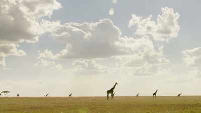 And they, one way or another, - Seven Worlds, One Planet