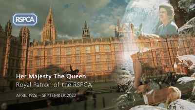 And they had Queen Elizabeth, as their patron. - Pignorant