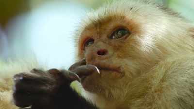 And when they return the gesture, - The Secret Lives of Animals
