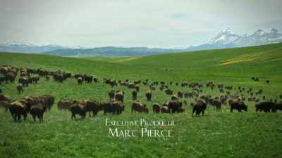 And when they saw it, they
could never forget it. - Yellowstone: One-Fifty