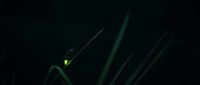 And when they see a guy that they like,
they flash back. - Alien Worlds