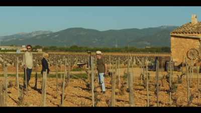 And they'll still be producing - The Mallorca Files