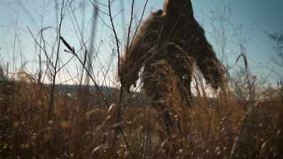 And they're big, strong,
powerful people." - Secrets of the Sasquatch