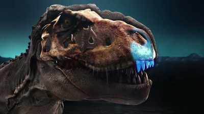 AND THEY'RE NOT ALL
IDENTICAL-SIZE TEETH IN A JAW. - Dino Hunters