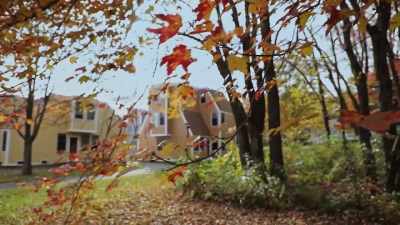 And if they're subsumed
by a large state university - The Unmaking of a College