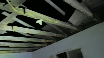 And that thing went up through - Beyond Skinwalker Ranch