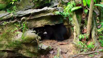 And if things weren't
uncomfortable enough, - The Secret Lives of Animals