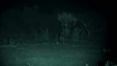 AND THIS CALL IS
TO BRING THEM IN. - Expedition Mungo