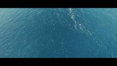 And those are ignored
because the level of kill - Seaspiracy
