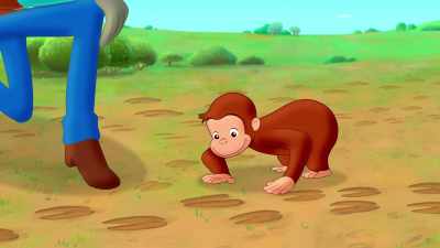 And those are sheep
tracks, and pig tracks, - Curious George: Go West, Go Wild