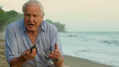 And those dangers will be
greatly increased - Blue Planet II