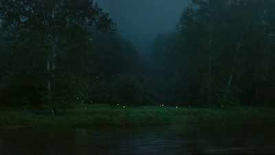 And for those that didn't find a mate, - Seven Worlds, One Planet