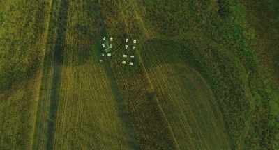 And as those grasslands
and all disappeared - The Pollinators
