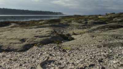 And those that live here - Planet Earth III
