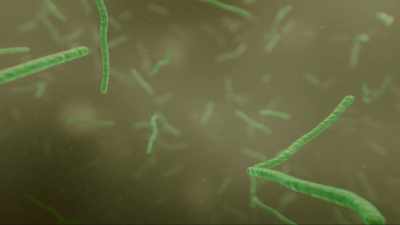 And those scrappy
little cyanobacteria, - Cosmos: Possible Worlds