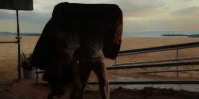 ♪ And though I see the danger ♪ - Wonder Wheel