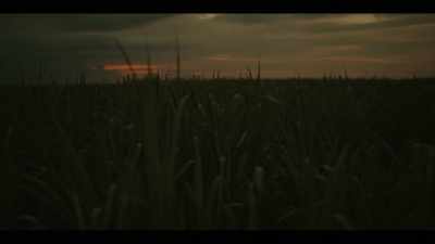 And though she lay awake
all night in hope... - The Long Song
