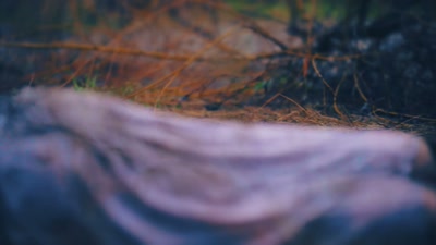 And thought at first it might
have been a sexual assault. - How I Caught My Killer
