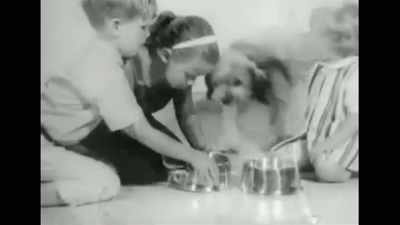 And nobody thought
at that time - Pet Fooled