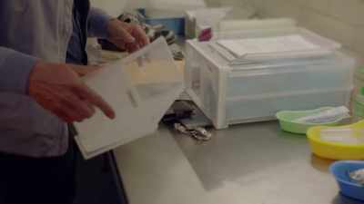 ...and he thought
he'd look in the drawer - My Life Is Murder