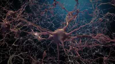 And through this very important network, - Human: The World Within