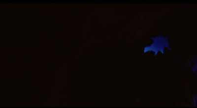 And thrown from the sky
by my God for one purpose, - The Lonely Man with the Ghost Machine