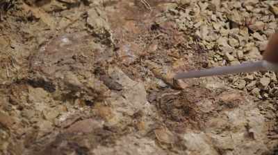 AND TO SEE TEETH IN IT IS CRAZY. - Dino Hunters