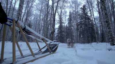 And so tomorrow, I got a
couple more lessons for them. - Life Below Zero: Next Generation