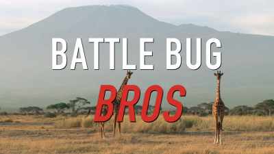 And tonight, we're turning into
the Rap Battle Bug Bros. - Absurd Planet