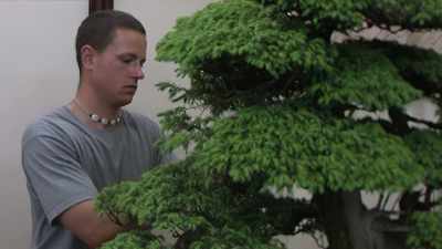 And towards the end
of my apprenticeship, - Trees and Other Entanglements