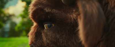 ...and tried to harm
these noble bison. - Mavka: The Forest Song