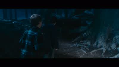 ...and turn him into a 16- or 17-year-old student. - Harry Potter and the Chamber of Secrets