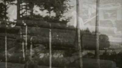 And, uh, I don't know
whether it didn't lead - Trees and Other Entanglements