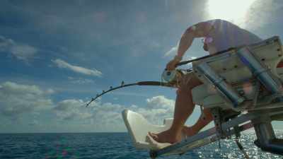 And, uh, you just have to wait. - Sharkwater Extinction