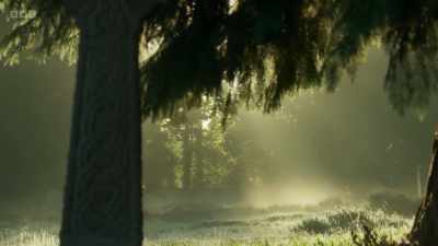 And for us, they offer a
place where we can reflect - Wild Isles