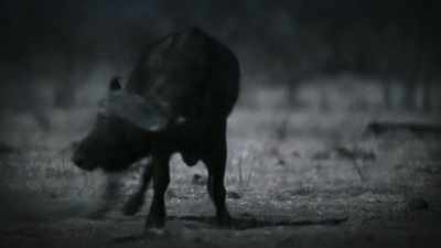 And use the darkness - Super/Natural