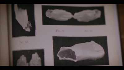 And very quickly,
this wax mold would form, - Surviving Death