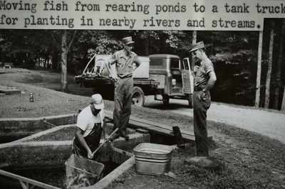 And it wasn't until, in the
seventies, that we really
started evaluating - Artifishal