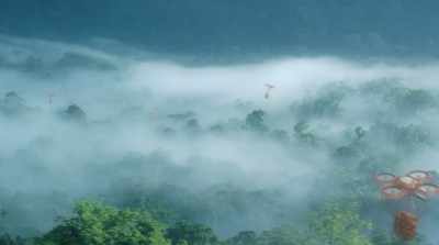 And ways to harvest
our forests sustainably. - David Attenborough: A Life on Our Planet