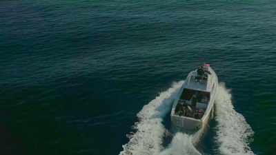 And while we were doing that, - Sharkwater Extinction