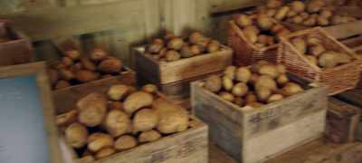 And we were ready to receive customers. - Clarkson's Farm
